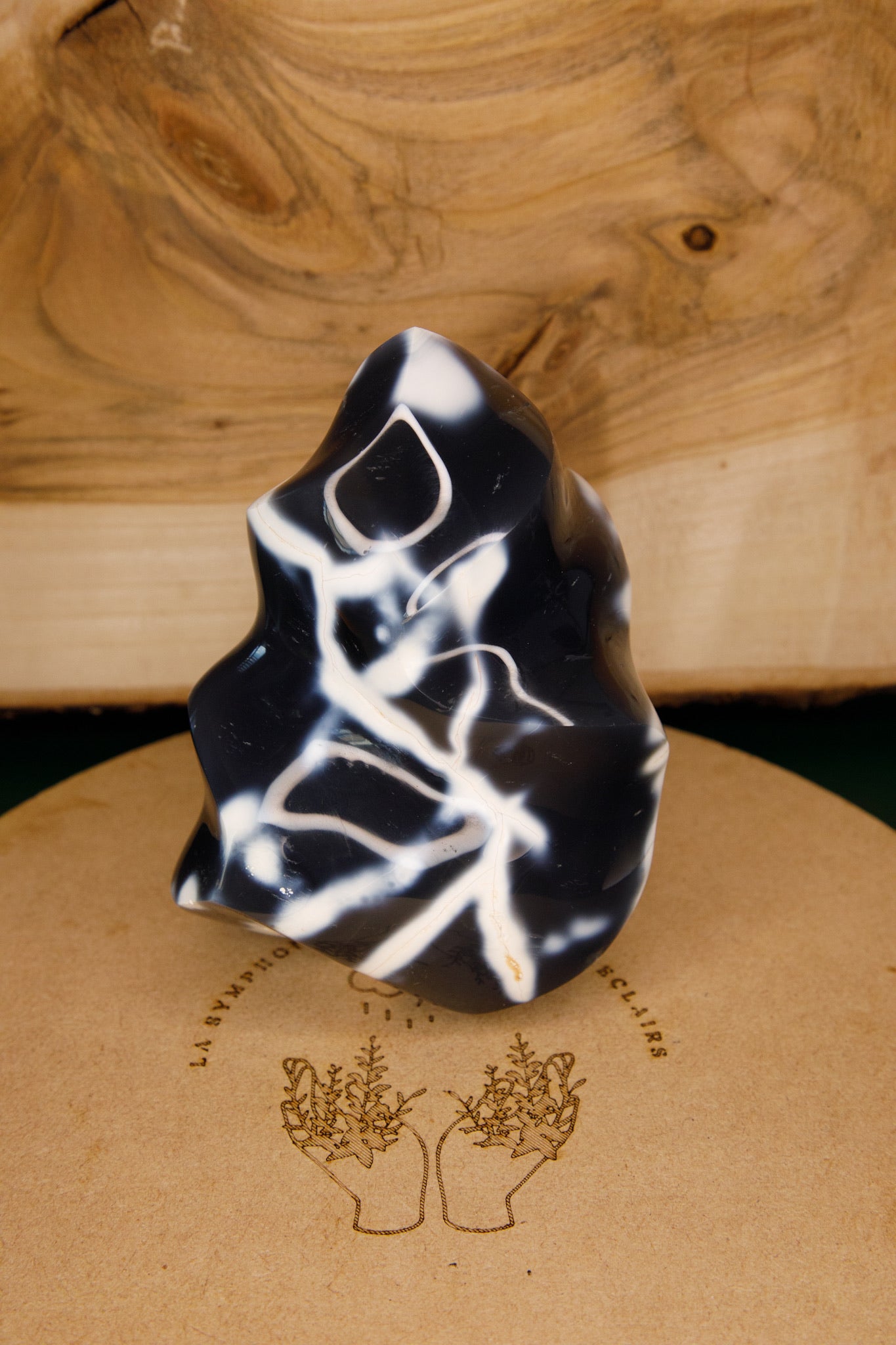 Forme Libre Agate Orque
