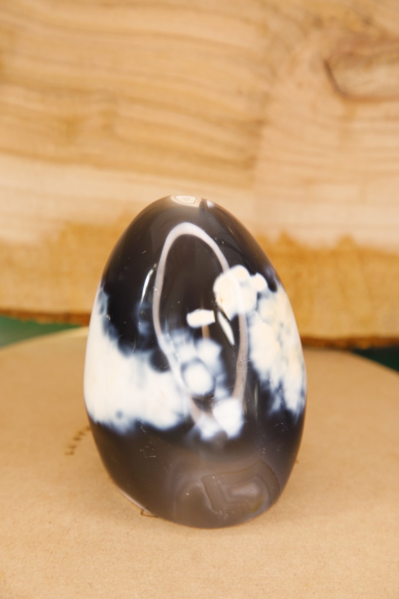 Agate Orque en Forme Libre