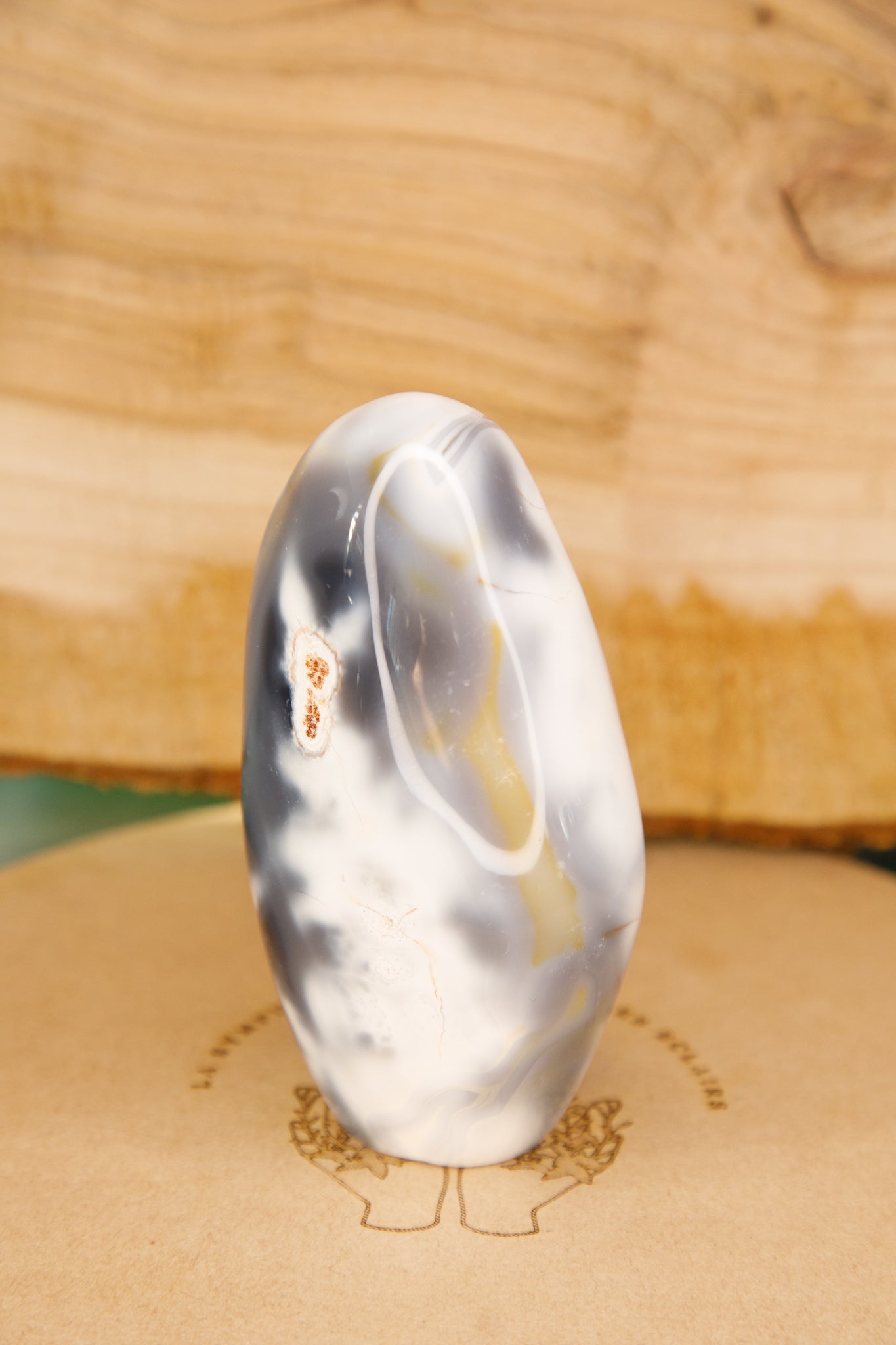 Agate Orque en Forme Libre