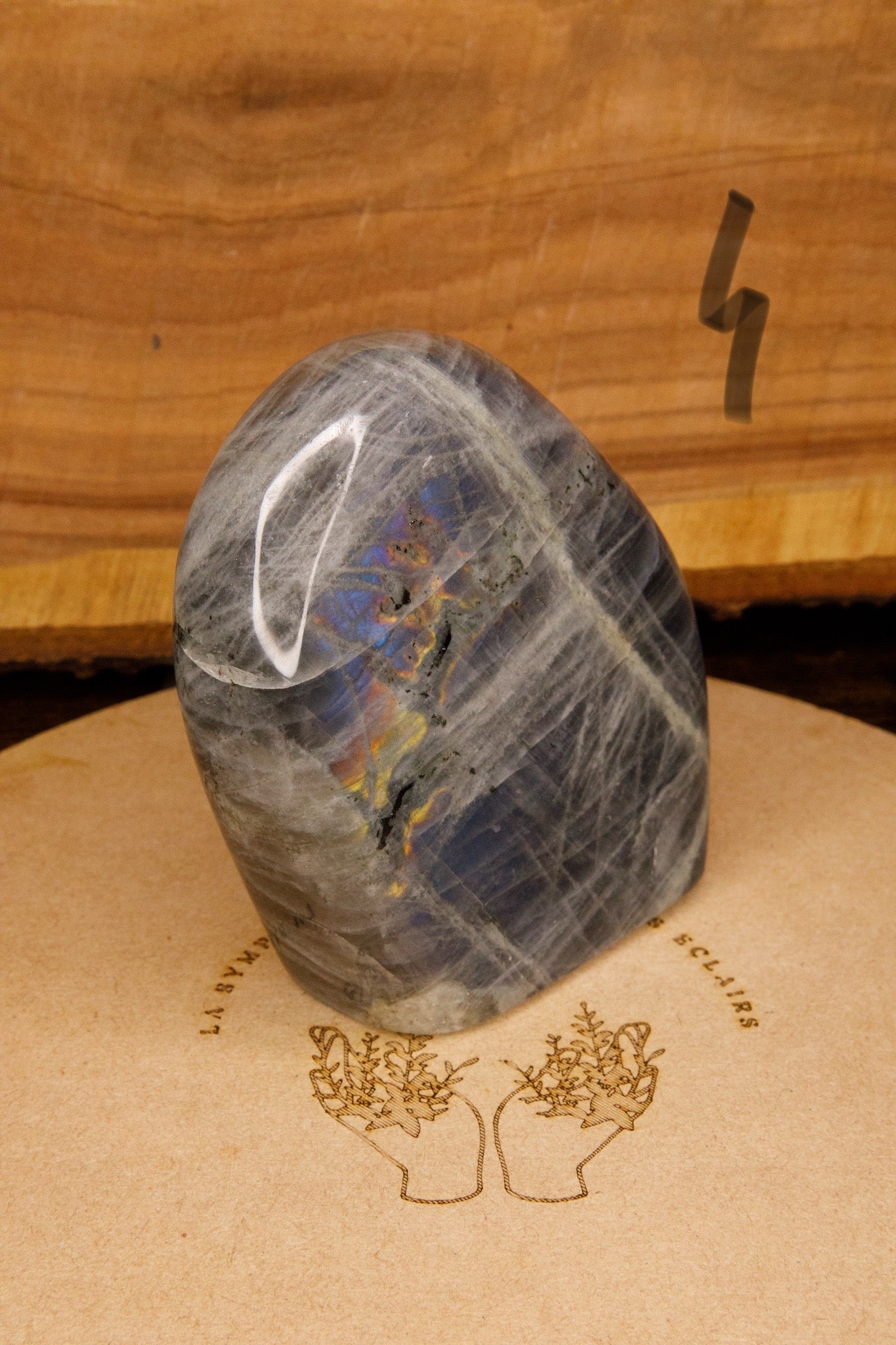 Formes Libres en Labradorite Spectrolite