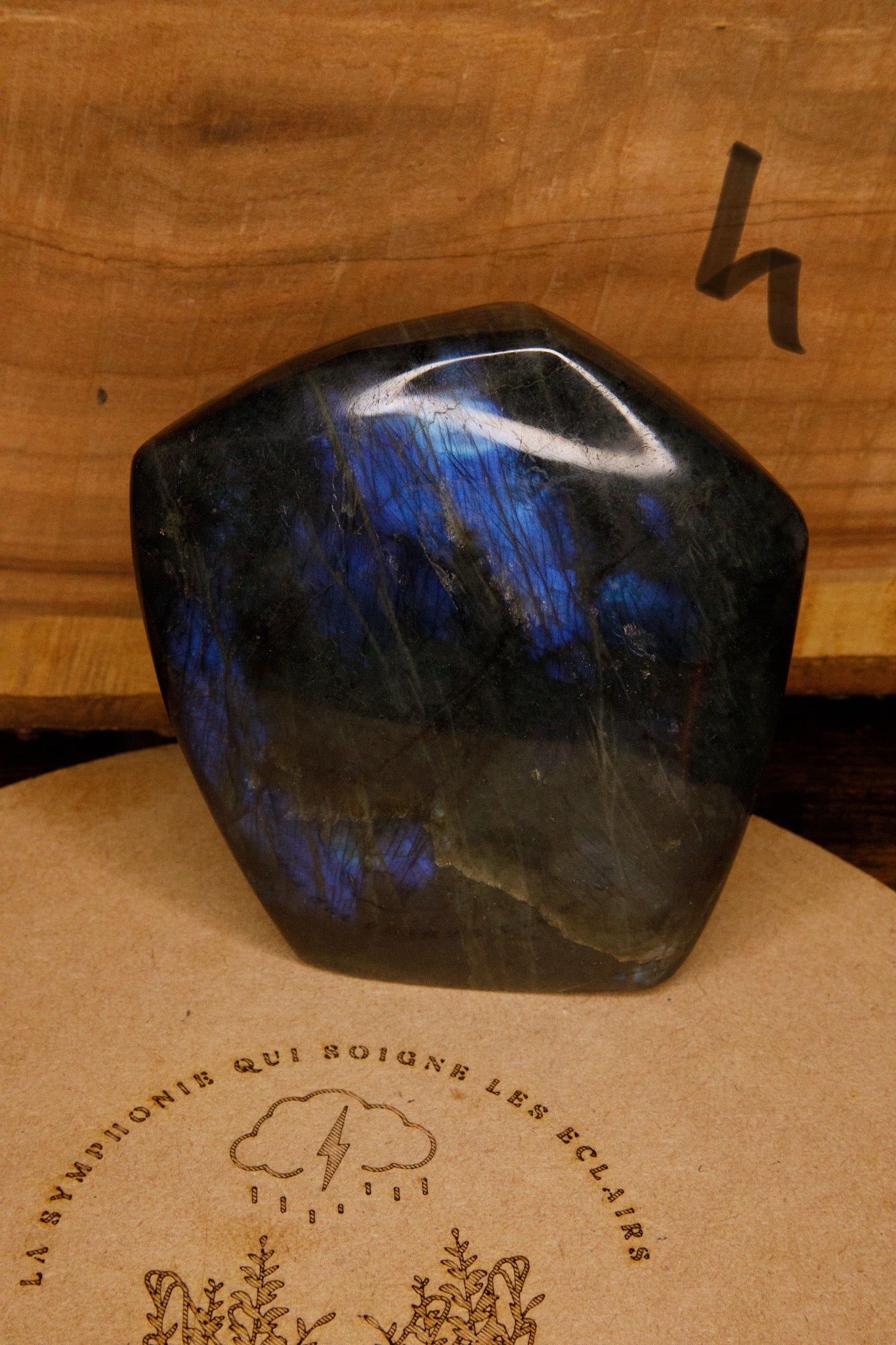 Formes Libres en Labradorite Blue Ribbon