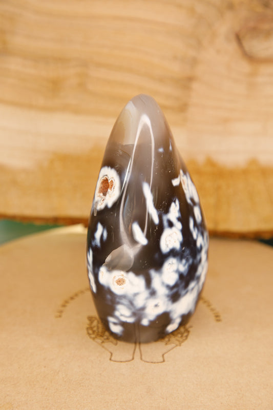 Agate Orque en Forme Libre