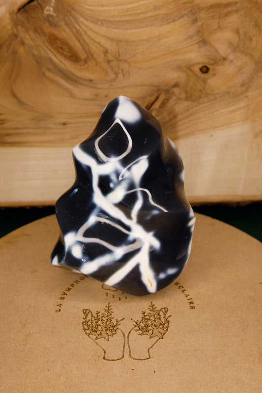 Forme Libre Agate Orque