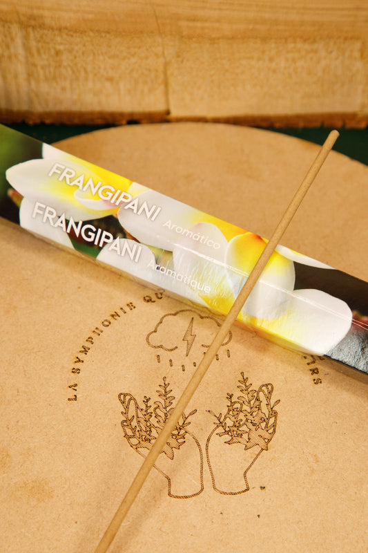 Encens Terra « Frangipani »